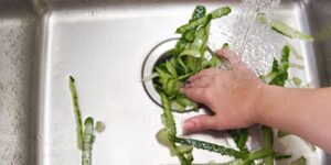 melhor triturador de alimentos